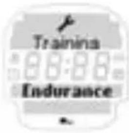 SIGMA Onyx Pro - TRAINING PERSONNEL D'ENDURANCE - 1