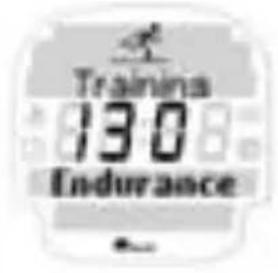 SIGMA Onyx Pro - TRAINING D'ENDURANCE - 1