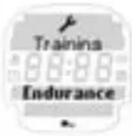 SIGMA Onyx Pro - EIGEN CONDITIETRAINING („ENDURANCE TRAINING“) - 1