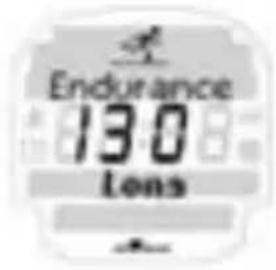 SIGMA Onyx Pro - Trainingsdoelen: - 1