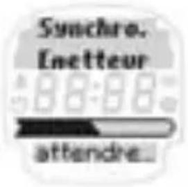 SIGMA Onyx Pro - MESURE DE LA FRÉQUENCE CARDIAQUE - 2