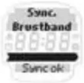 SIGMA Onyx Pro - HERZFREQUENZMESSUNG - 3