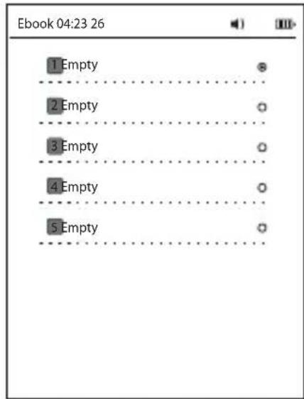 Sunstech EBI3 4GB - Read Files - 3