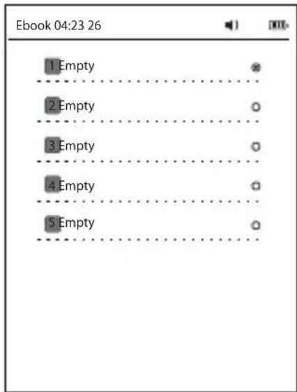 Sunstech EBI3 4GB - Read Files - 2