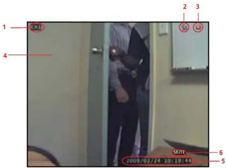 SWANN SW343DPM - Setting DVR Time - 2