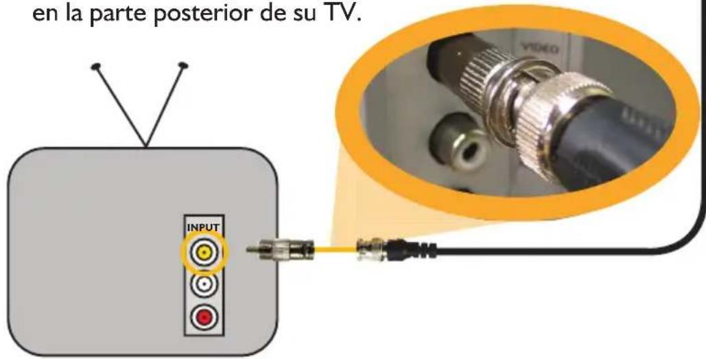 SWANN PRO530 - 2A. Conectando Directamente a la TV - 1