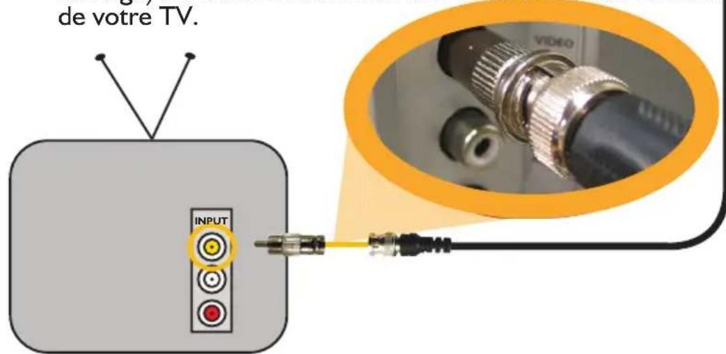 SWANN PRO530 - 2A. Connexion TV directe - 1