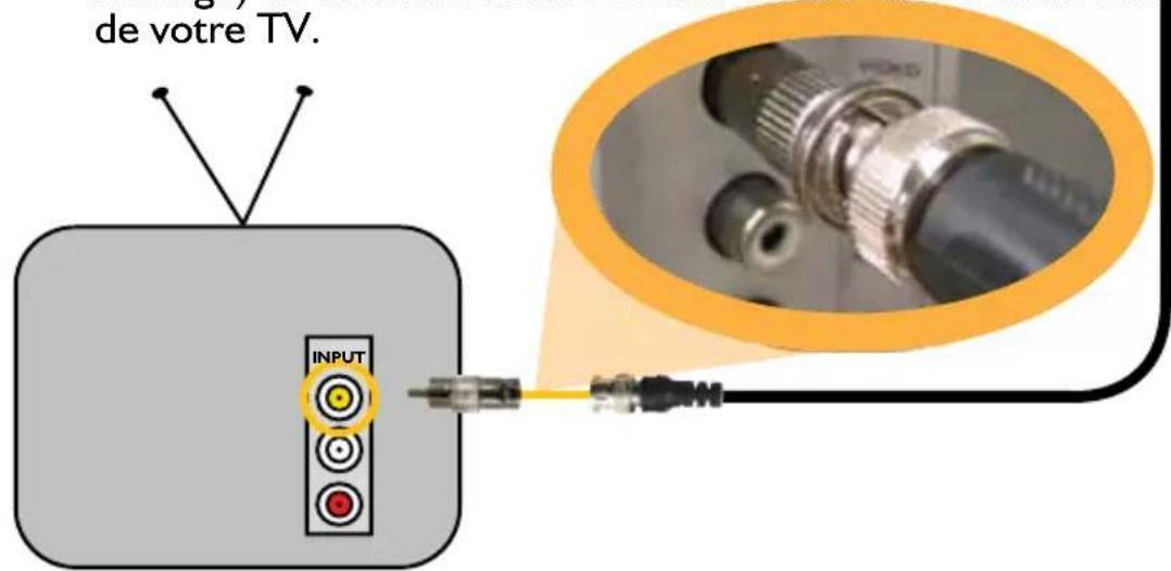 SWANN PRO640 - 2A. connexion TV directe - 1