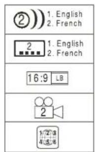 TEAC DRH300B - Example of Icons used on DVD discs: - 1