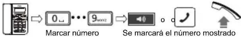 SWISSVOICE CP40 - CASO 1 - 1