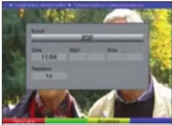 TECHNISAT DiGYBOXX T4 - Programarea manuală a timer-ului - 2