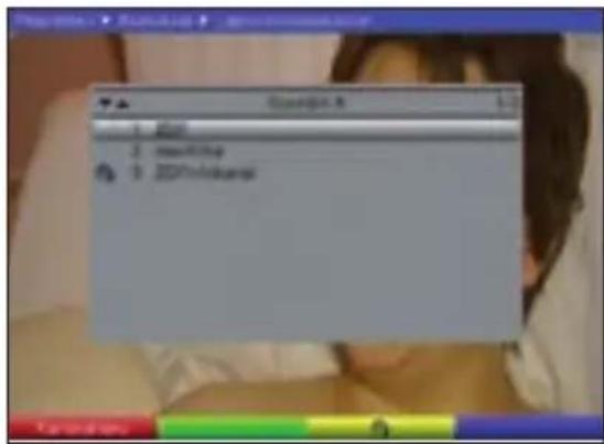 TECHNISAT DiGYBOXX T4 - Valitse kanavat - 1