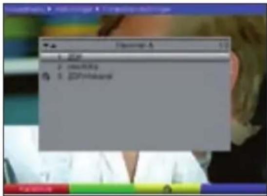 TECHNISAT DiGYBOXX T4 - Vælg programmer - 1