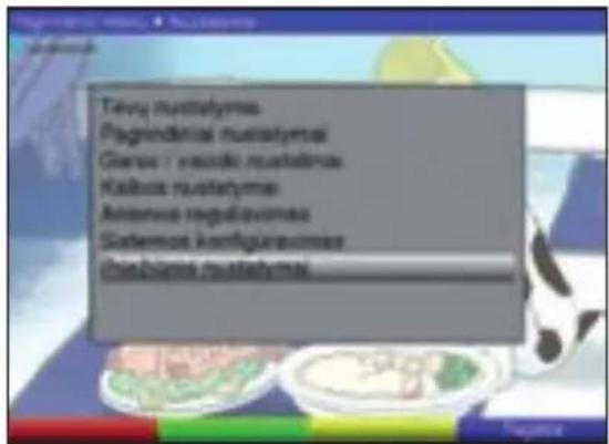TECHNISAT DiGYBOXX T4 - Tarnybos nustatymai - 2