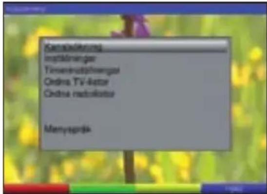 TECHNISAT DiGYBOXX T4 - Menyspråk - 1