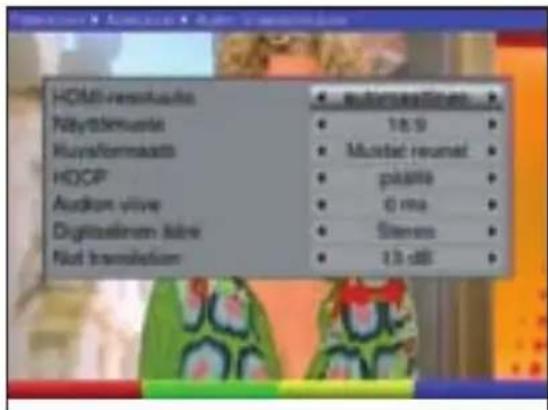TECHNISAT DiGYBOXX T4 - Ääni-/videoasetukset - 2