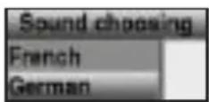 TECHNISAT DiGYBOXX T4 - Valg af et andet sprog (funktion) eller sender (radiofunktion) - 2