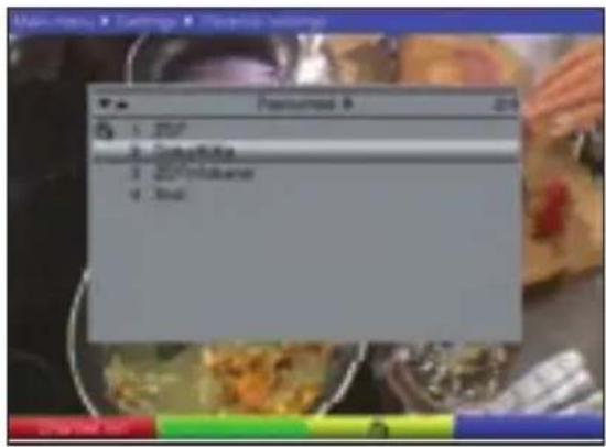TECHNISAT DiGYBOXX T4 - Select channels (Vali kanalid) - 1