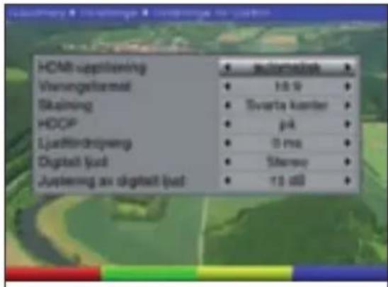 TECHNISAT DiGYBOXX T4 - Ljud-/videoinställningar - 2