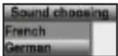 TECHNISAT DiGYBOXX T4 - Selecting a different language (TV mode) or station (radio mode) - 2