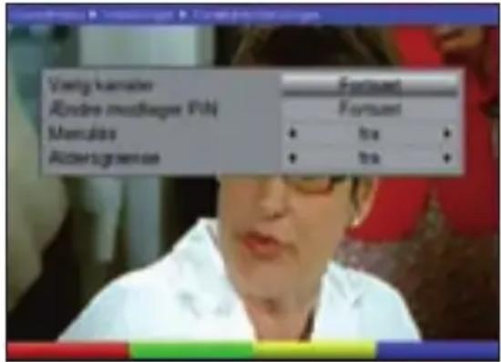TECHNISAT DiGYBOXX T4 - Beskyttelse af mindreårige - 1