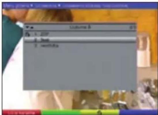 TECHNISAT DiGYBOXX T4 - Wybór kanałów - 1
