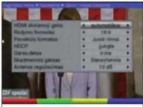 TECHNISAT DiGYBOXX T4 - Garso / vaizdo nustatymai - 2