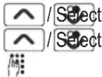 SWITEL DF 911 - Resetting the handset - 1