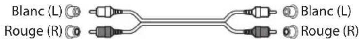TEAC DSH01 - A Prises de sortie audio analogique de niveau ligne (LINE OUT) - 1