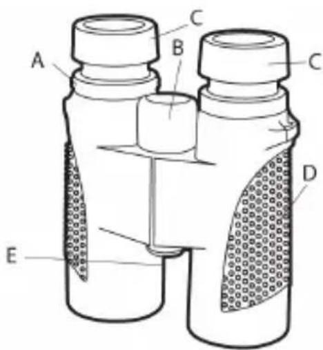 CamLink CLOAKHAM842 - Odyies xno - 1