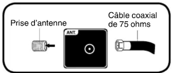 SANSUI SLED1937 - Raccordement au réseau de câblodistribution - 1