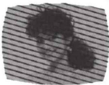 SANSUI SLED1937 - RADIO FREQUENCY INTERFERENCE (RFI) - 1