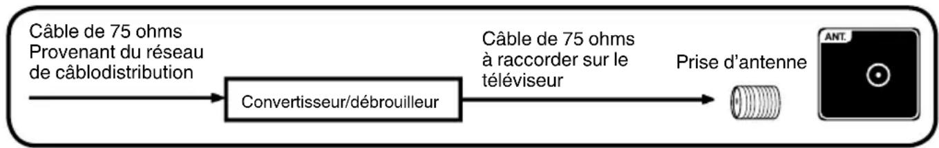 SANSUI SLED1937 - Raccordement au réseau de câblodistribution - 2