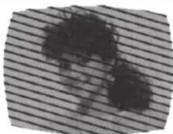 SANSUI SLED1937 - BROUILLAGE RADIOÉLECTRIQUE - 1