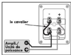 Quadral Argentum 315 Phase - Bornes à vis - 6