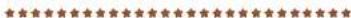 INGO SGM20143 - Onlinehaltel - 1