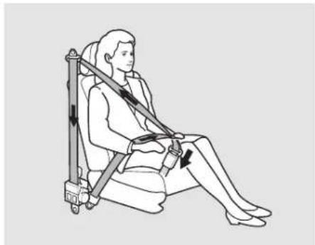 Honda Civic (2001) - Éléments des ceintures de sécurité Ceinture sous-abdominale/baudrier - 3