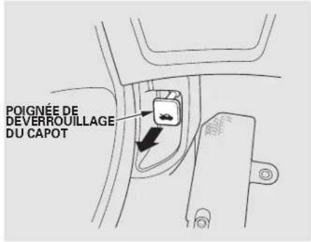 Honda Civic (2001) - Ouverture du capot - 1