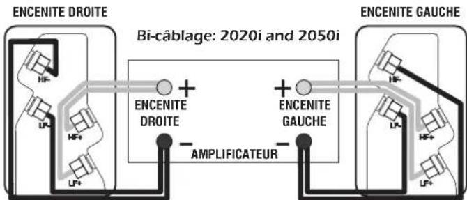 Q-ACOUSTICS 2000Ci - Bi-cablage - 1