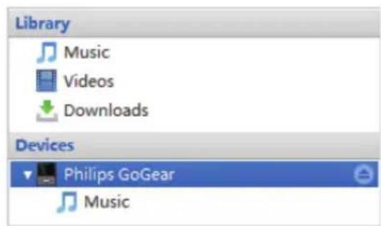 PHILIPS GoGear SA3ARA32K - Conseil - 2