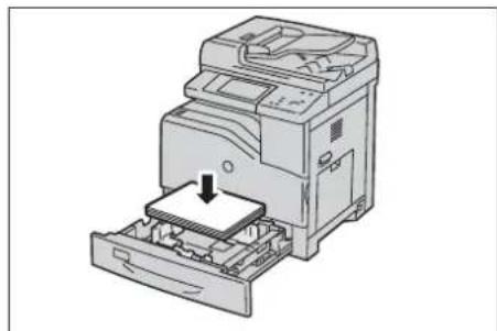 DELL C5765dn - Chargement de papier dans les magasins 1 à 4 - 4