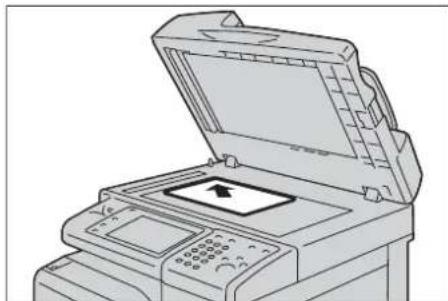 DELL C5765dn - Glacedexposition - 2