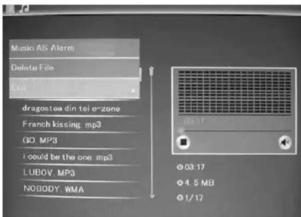 BRAUN DigiFrame 1580 - Función de borrado - 1