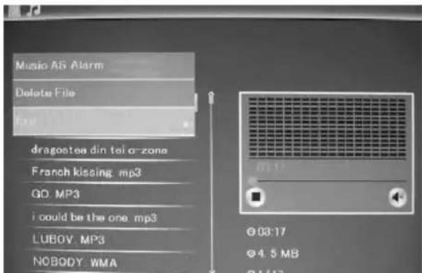 BRAUN DigiFrame 1580 - Delete function - 1