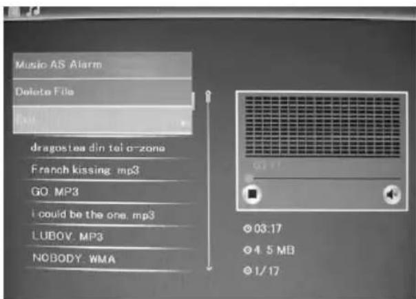 BRAUN DigiFrame 1580 - Funcao de apagar - 1