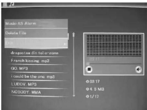 BRAUN DigiFrame 1580 - Raderingsfunktion - 1