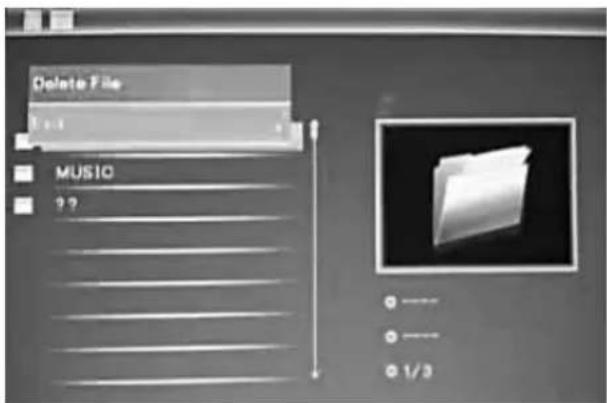 BRAUN DigiFrame 1580 - Funzione Elimina - 1