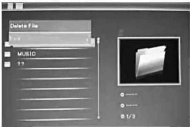 BRAUN DigiFrame 1580 - Borrar direccion - 1