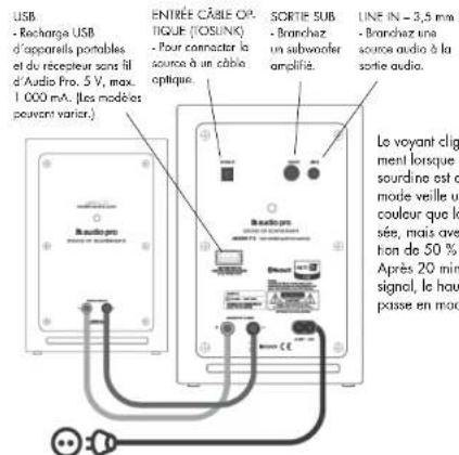 AUDIO PRO Addon T12 - BRANCHEMENTS ARRIÈRE - 1