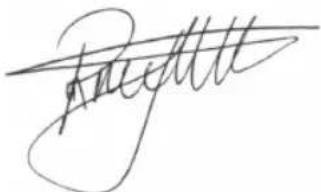 BESTRON AHD1400W - DICHIARAZIONE DI CONFORMITA CE - 1